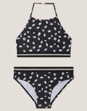 Daisy Print Halter Bikini Set, Black (BLACK), large