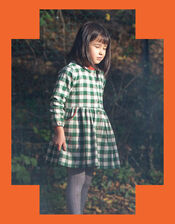 Little Green Radicals Check Pocket Dress, Green (GREEN), large