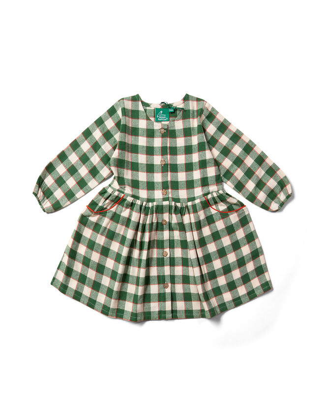 Little Green Radicals Check Pocket Dress, Green (GREEN), large