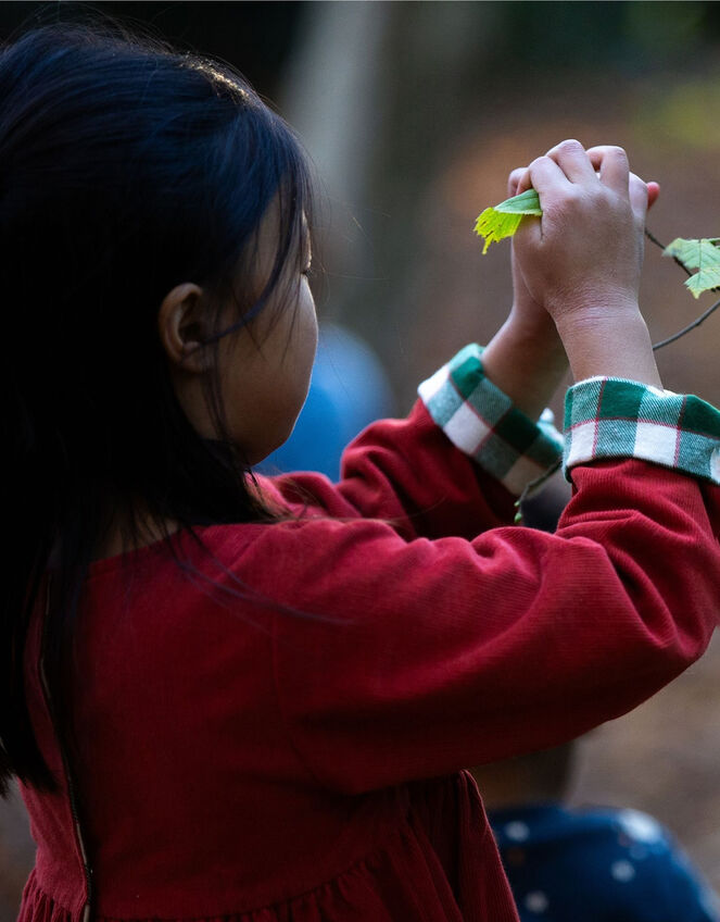 Little Green Radicals Reversible Check Dress, Red (RED), large