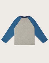 Contrast Raglan T-Shirt , Grey (GREY), large