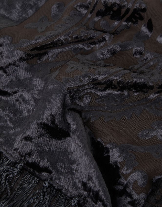 Rosa Devore Fringe Scarf, , large