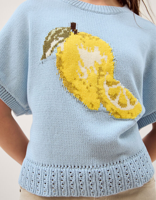 Lizzie Lemon Short Sleeve Jumper, Blue (BLUE), large