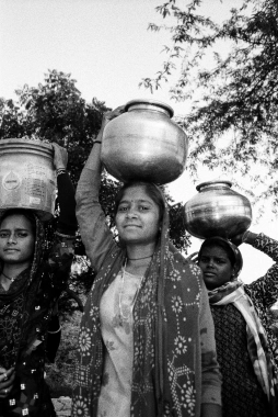 Water Wisdom case study gallery image 1