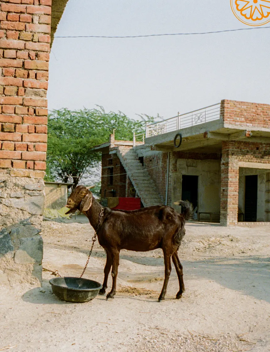 Woman wearing traditional green and red patterned clothing and red bangles.