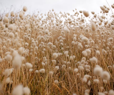 77% of our viscose ​